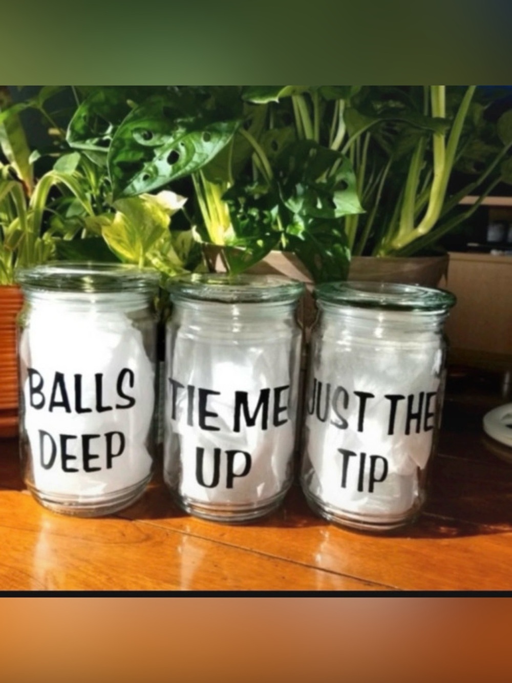 NWOT Naughty Bathroom Canisters | Storage Jars